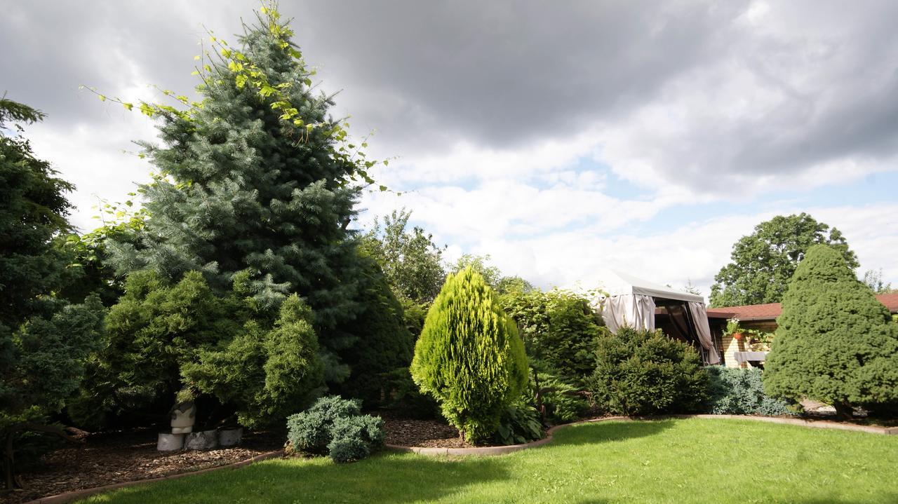 Villa Alris Bialystok Ngoại thất bức ảnh